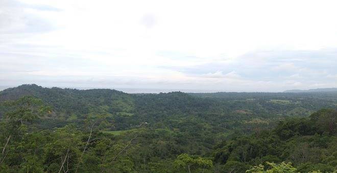 Tambor hills
