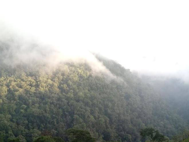 Armonia ambiental lodge