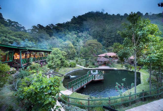Trogon lodge
