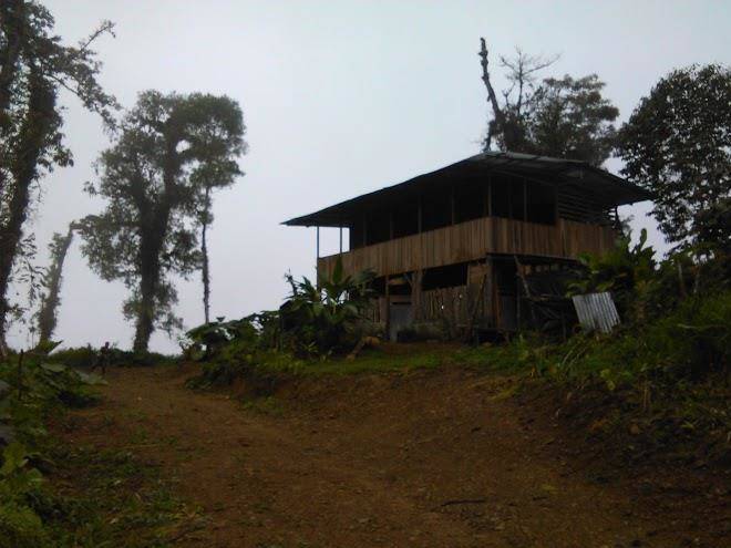 Monte cavernas costa rica