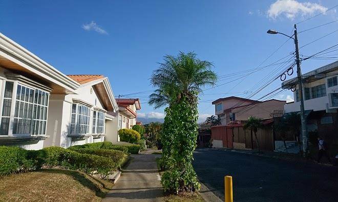 Mango boulevard hotel