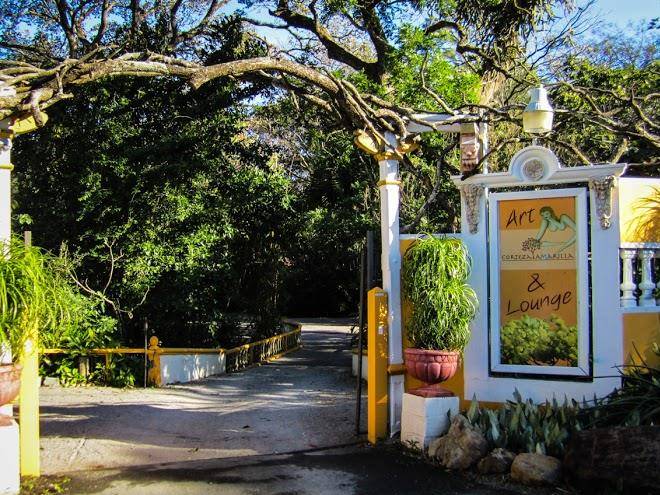 Corteza amarilla art lodge