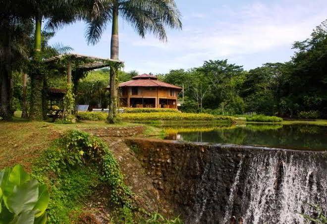 Macaw lodge rainforest costa rica