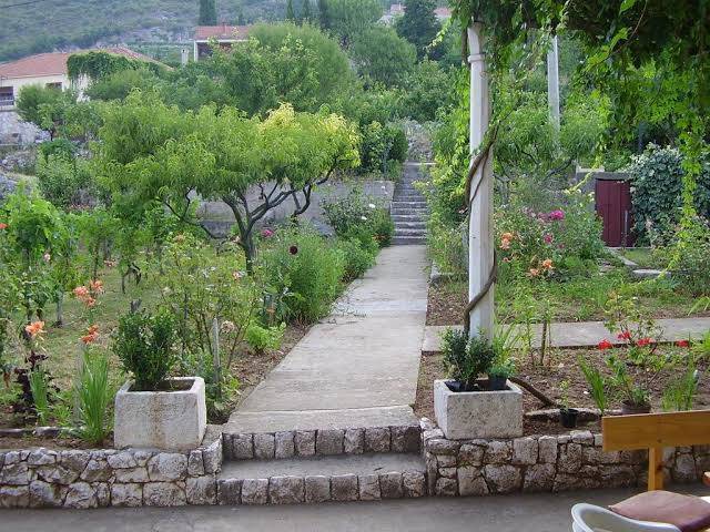 Androvic winery accomodation