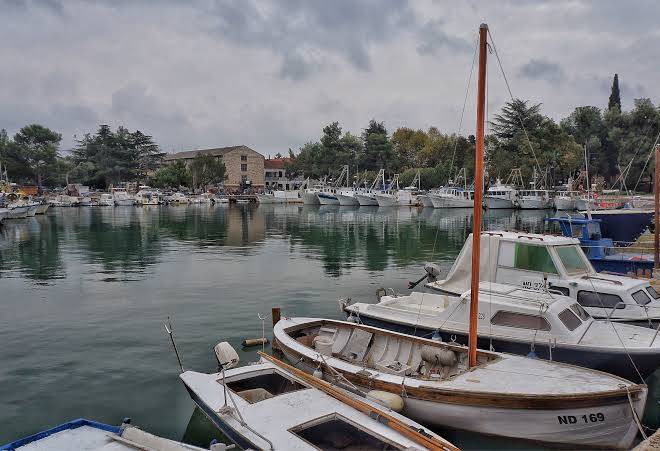 Novigrad
