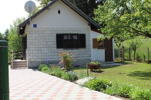 Hizica kanceljak