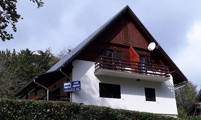 Vila vuk
