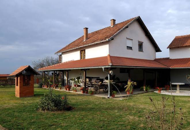 Opg baka ljuba