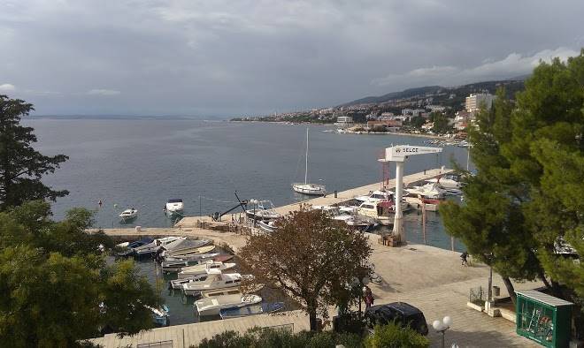 Pansion selce