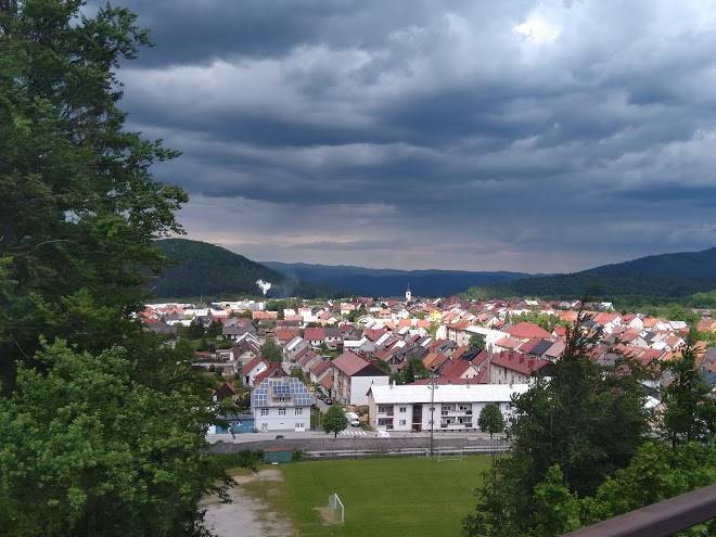Pansion lovacki