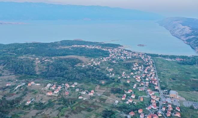 Pansion Lavanda Lopar Image