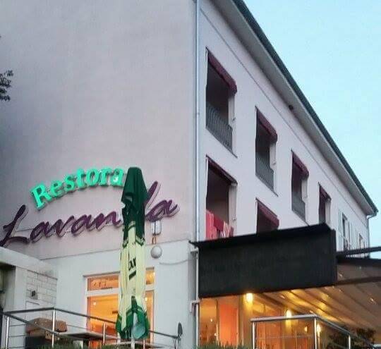 Pansion lavanda