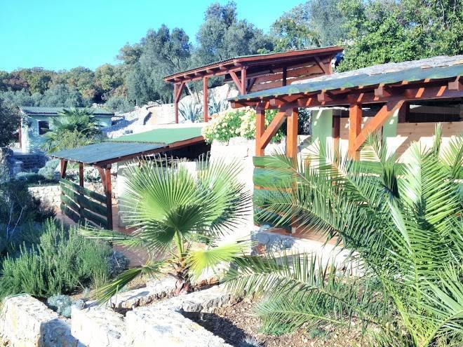 Marusina olive hills