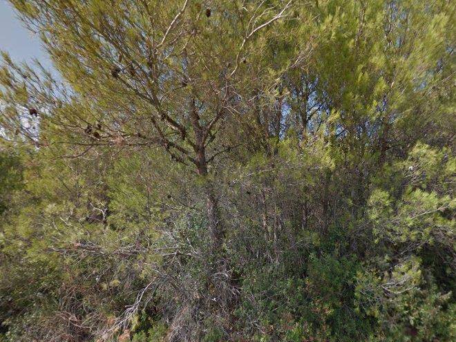 Dujmovic Matko Image