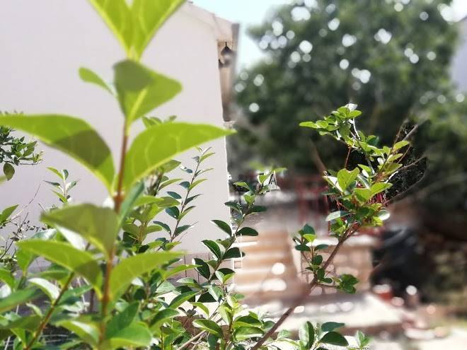 Kuca Za Odmor Ivana Image