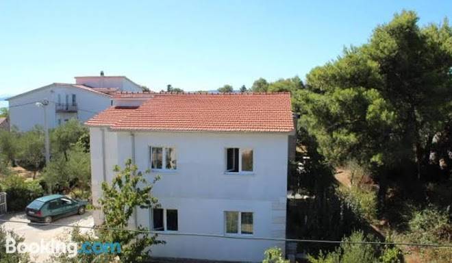 Dalmatia sunshine