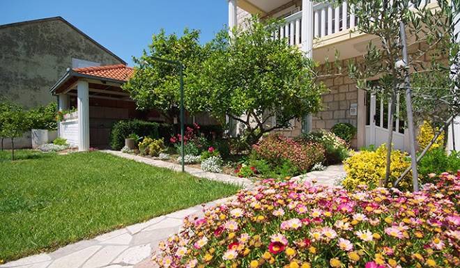 Pansion Krivic Image