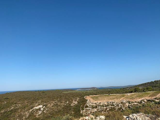 Uvala poganica