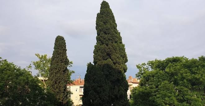 Boutique hotel bacvice