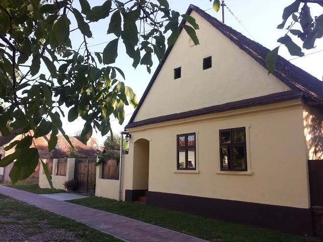 Snasini kucari