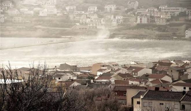 Vila najner
