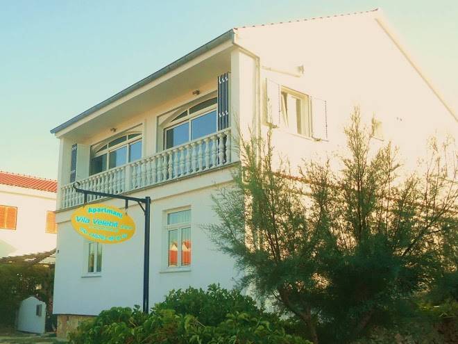 Vila velebit