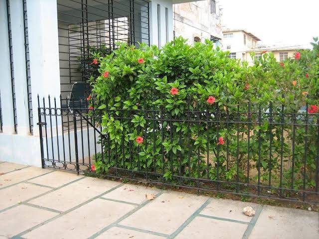 Casa particular maria