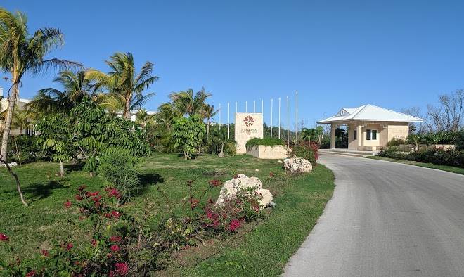 Angsana cayo santa maria