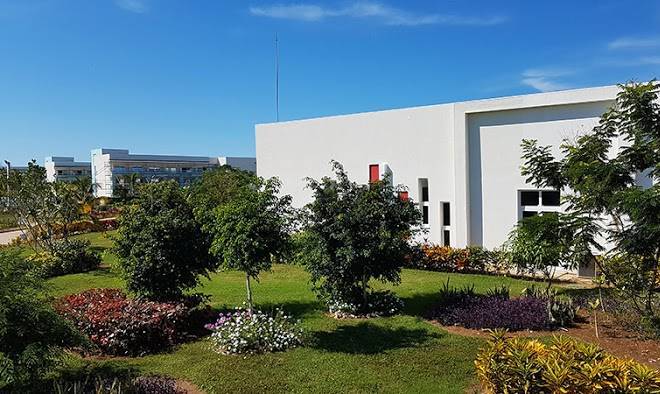 Hotel las salinas plaza & spa