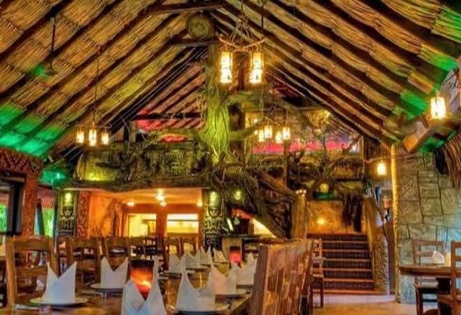 Amazonia curacao the lost island of dreams