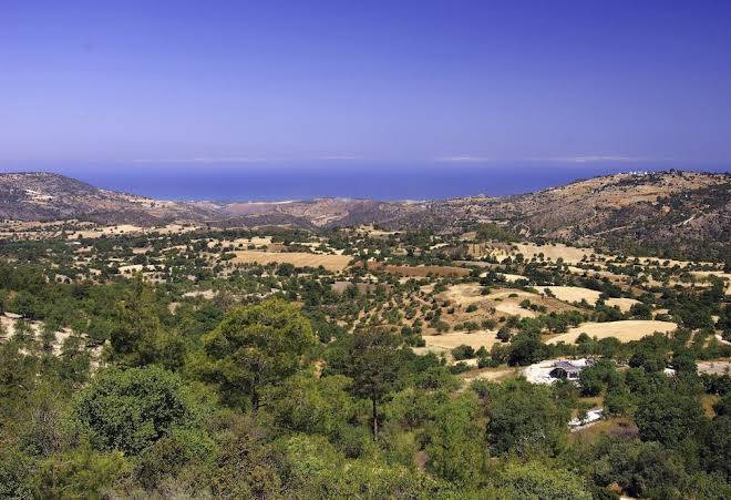 Demetriou Paradisos Hills Hotel Image