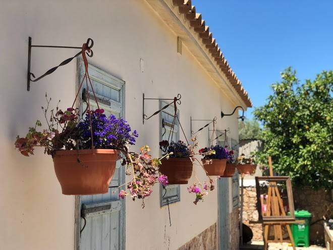 Shongas Inn Hotel Image