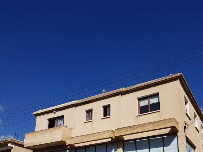 Trip Yard Paphos Image