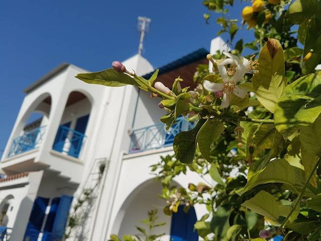 Green Sea Complex Image