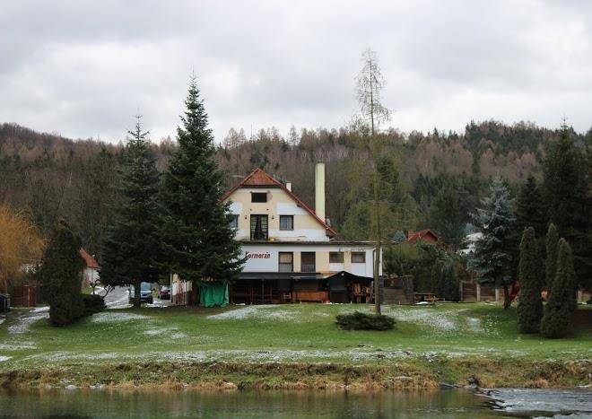 Hotel cormorant
