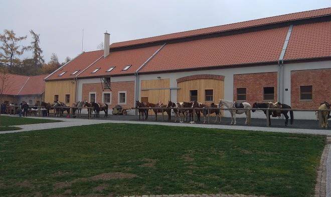 Statek krkavci hora