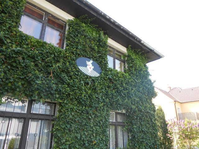 White rabbit hall