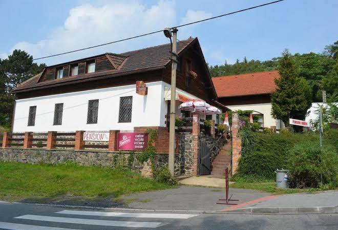 Restaurace egida