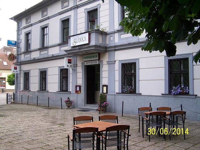 Slanka cernosice