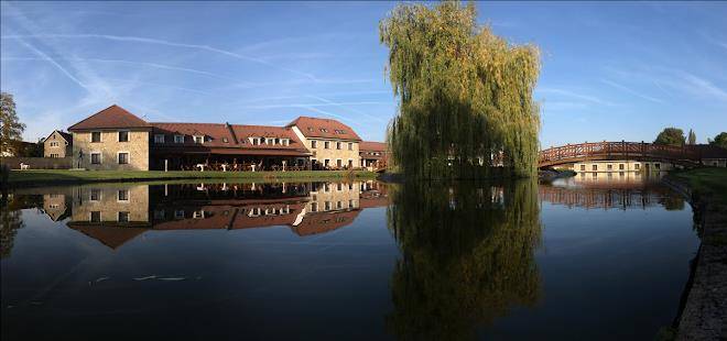 Hotel lions nesuchyne