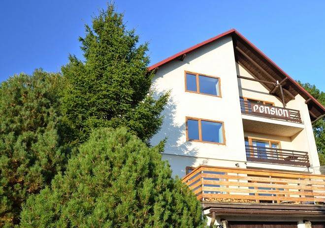 Pension andel