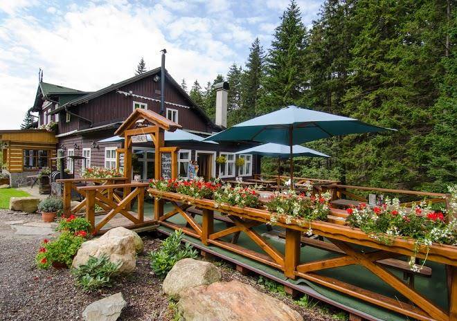 Snow top inn