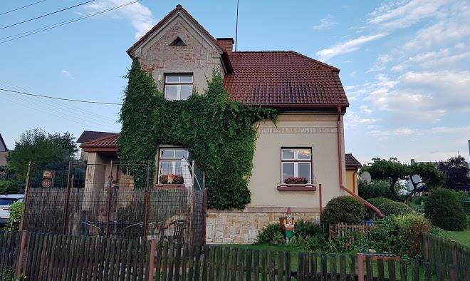 Vilka rtyne v podkrkonosi