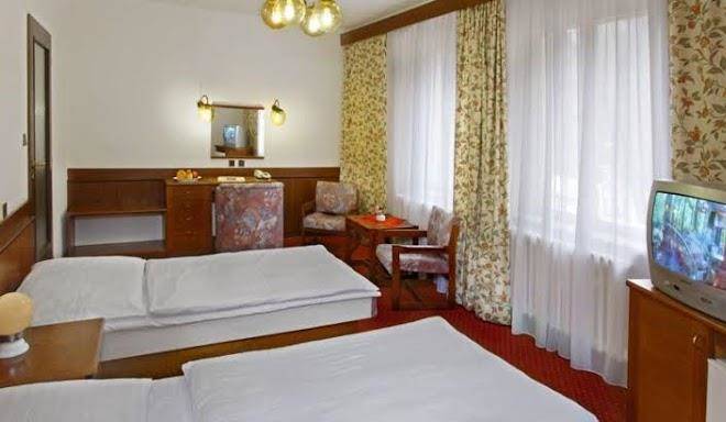 Svoboda ensana health spa hotel depandance labe