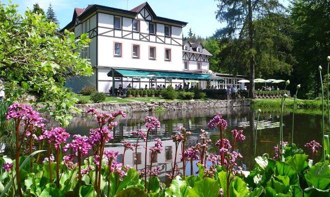 Spa & wellness hotel harmonie luna park restaurant