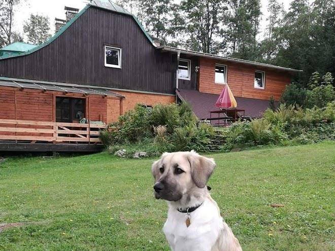 Chata Pod Kloboukem Janosik Vasicek Image