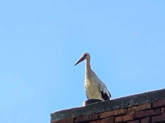 Penzion kelt