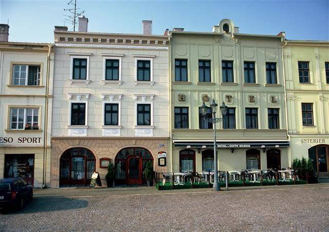 Hotel & caffe silesia