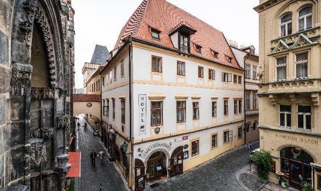 Black Elephant Image