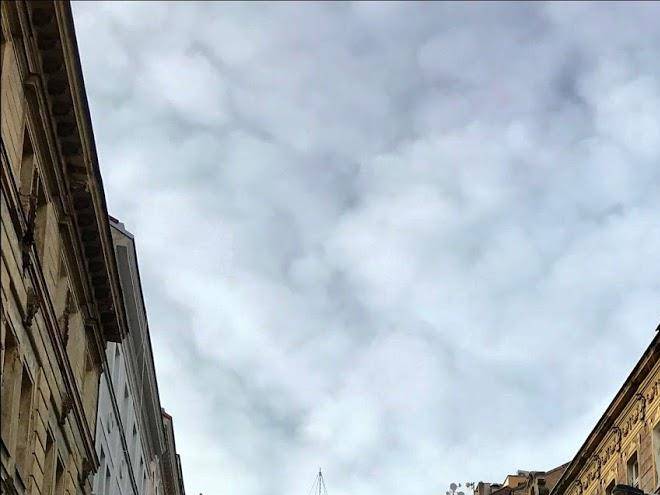 Borivojova 50